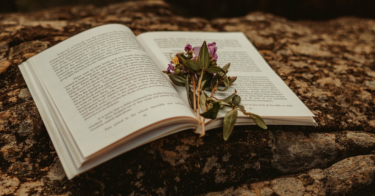 Bahar Dizisi 58. Bölüm Özeti ile Merak Edilenler Neler?